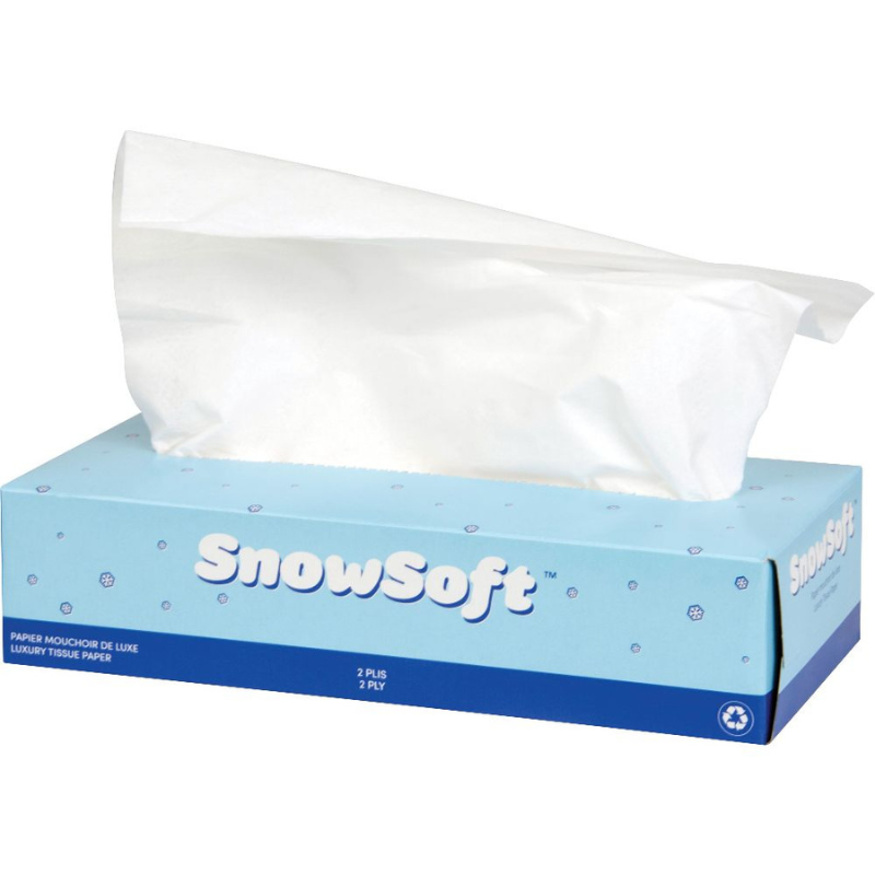Snow Soft Facial Tissue, 2-Ply, 100 sheets/box, 30 boxes/case